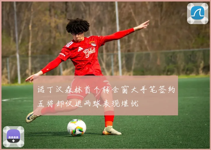 诺丁汉森林首个转会窗大手笔签约五将却仅进两球表现堪忧