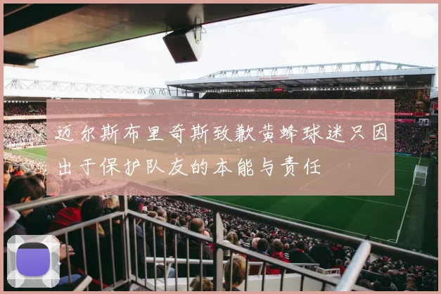 迈尔斯布里奇斯致歉黄蜂球迷只因出于保护队友的本能与责任