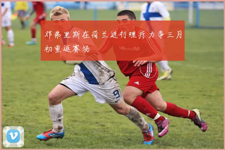 邓弗里斯在荷兰进行理疗力争三月初重返赛场