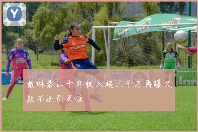 戴琳泰山十年收入超三千万再曝欠款不还引关注