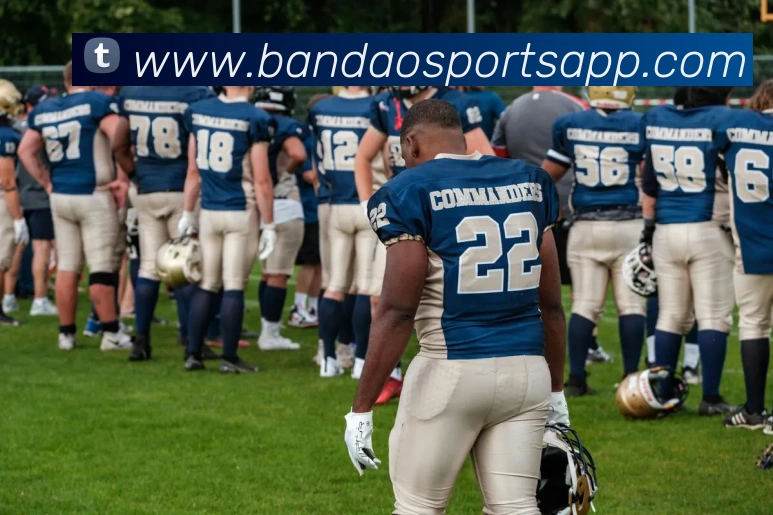 半岛体育平台生态图