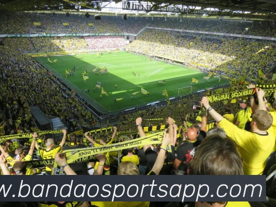 半岛体育APP 封面图