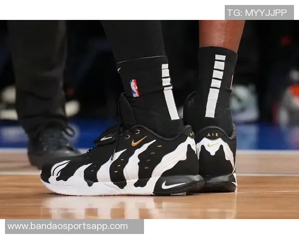 詹姆斯23代Heatles配色正式发售致敬热火三巨头引发球迷热议